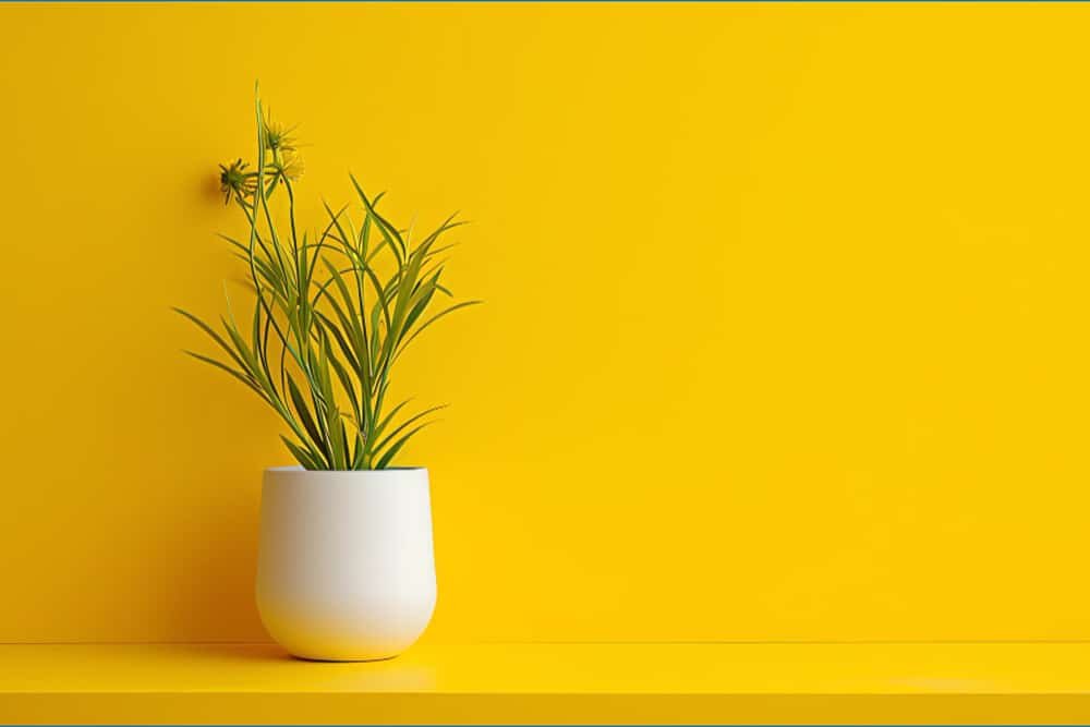 Pola hidup minimalis mengajarkan kita untuk menemukan ketenangan melalui kesederhanaan.